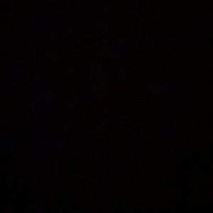 BUNDLE POST FOR HOLOFERNES